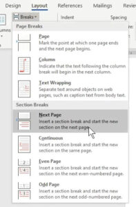 create section break - next page