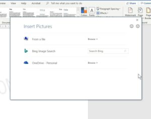 INSERT PICTURE OPTIONS