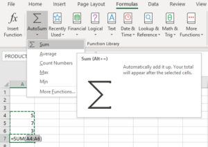 Functions using Autosum