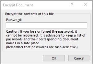 Encrypt Word document with password