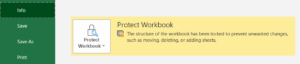 Protect Workbook activated