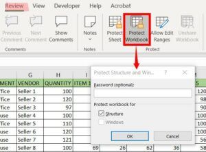 rotect Workbook password option