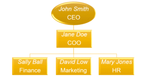 Organisational Chart Change Shape