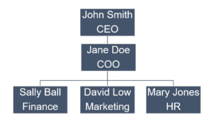 Organisational Chart Example